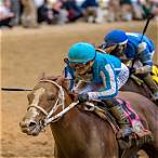 what horse to bet on kentucky derby